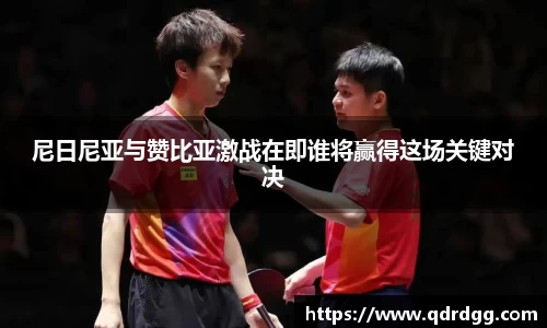 乐彩汇