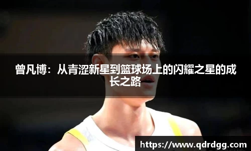 乐彩汇