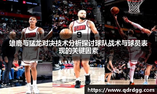 乐彩汇官网