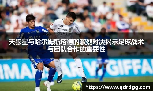乐彩汇官网